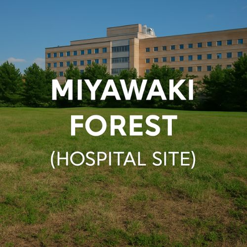 Miyawaki Forest – Healing Through Nature A lush conceptual forest growing within urban hospital grounds, inspired by Miyawaki principles
