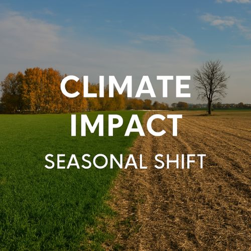 Global Warming in Motion – Pakistan’s Changing Seasons Visual representation of changing weather patterns and shifting seasonal rhythms caused by global warming in Pakistan